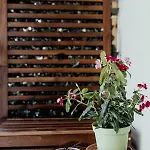 Easy فندق مبيت وإفطار 2*
